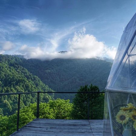 Mtirala Glamping 호텔 Chakvistavi 외부 사진